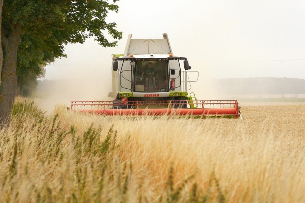 Moissonneuse Claas Lexion en pleine récolte de blé combine harvester, agriculture, harvest, grain, panasonic, lumix, wetterau, hesse, germany, claas